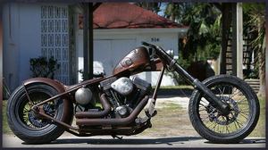 Аутентичный кастом “Brown Pearl”